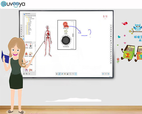 Touch screen intelligente interattivo di lavagna dell'OEM Iwb